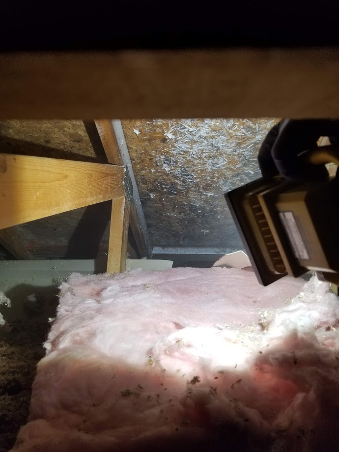 Professional residential cleaning