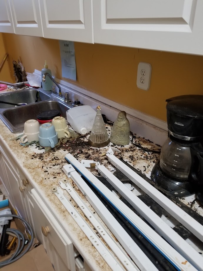 Home protection and sanitization