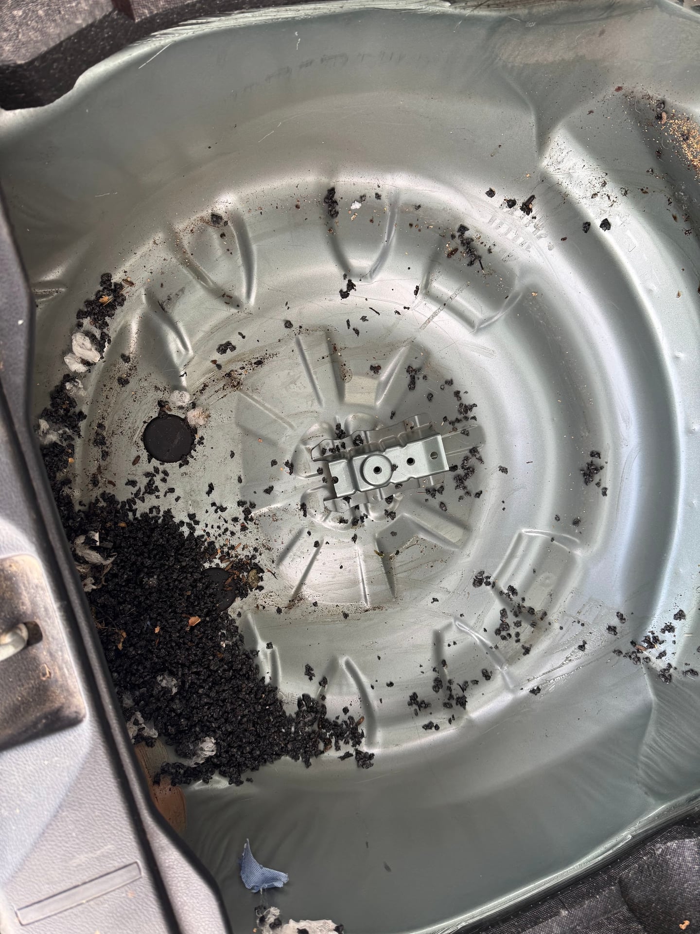 Rodent feces and nesting in vehicle wheel well