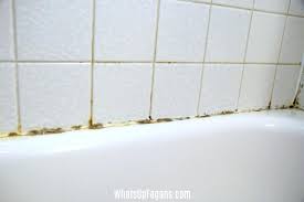 Musty Smell in Bathroom