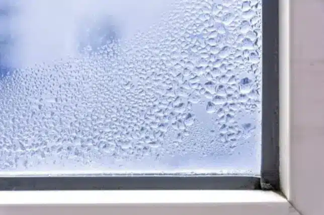 Avoid Moisture and Mold: Tips for Temporary Window Coverings