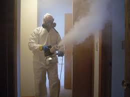 Thermal Fogging Odour Removal: The Complete Guide for Vancouver Island Homes