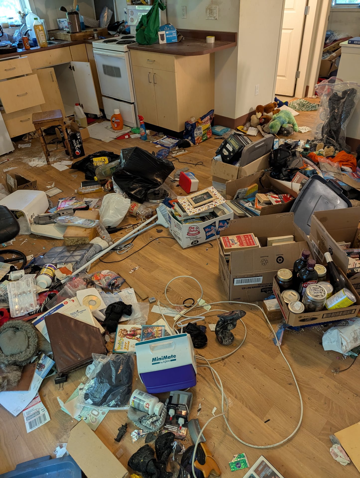 Hoarding Cleanup